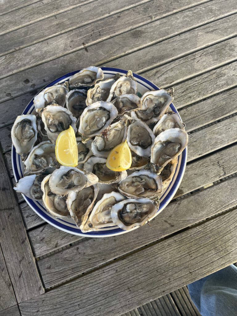 oesters